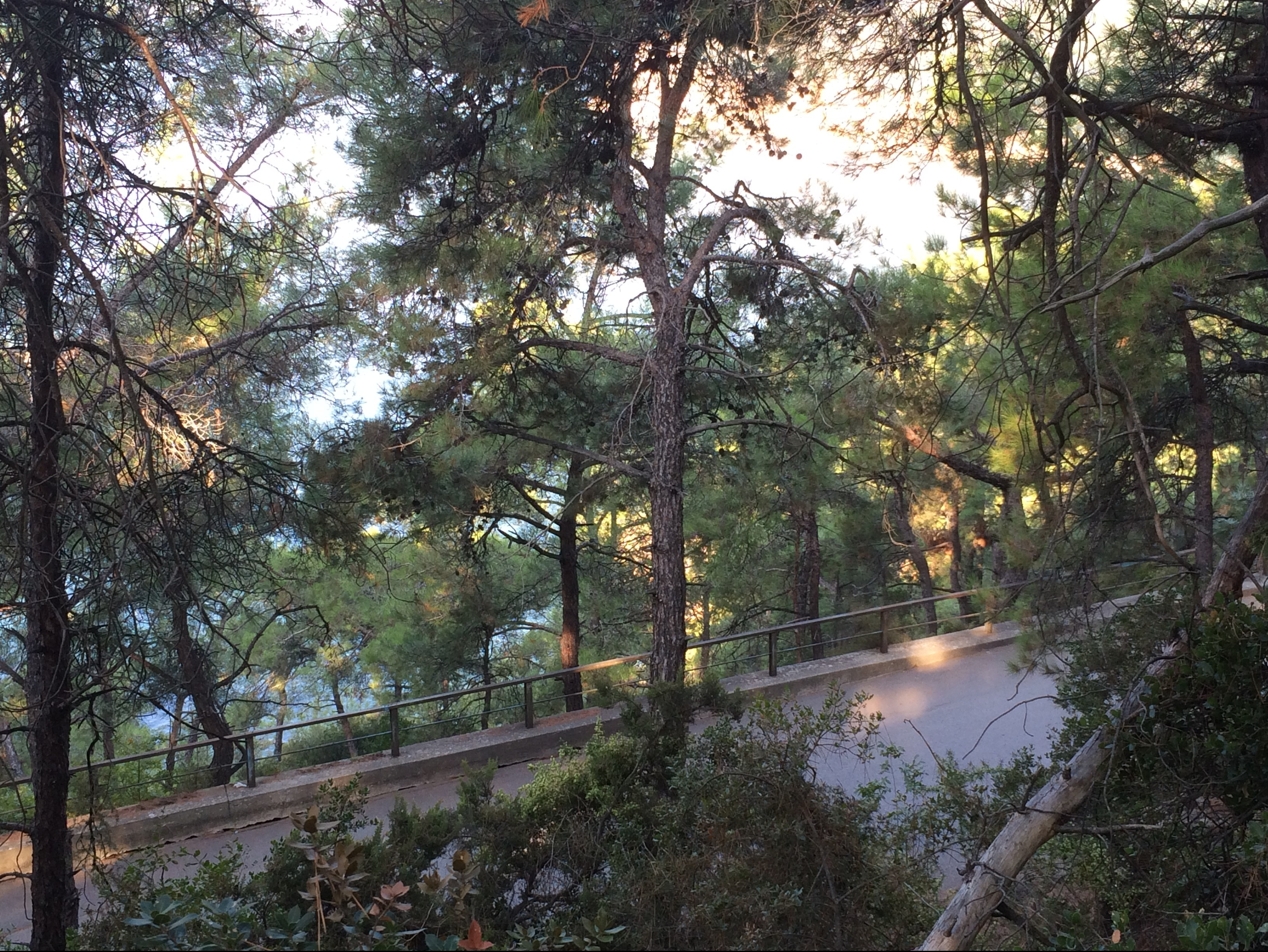 Heybeliada büyük tur yolu