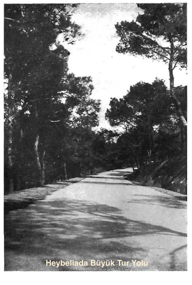 yakup_cinar_heybeliada_buyuktur_-yolu-2