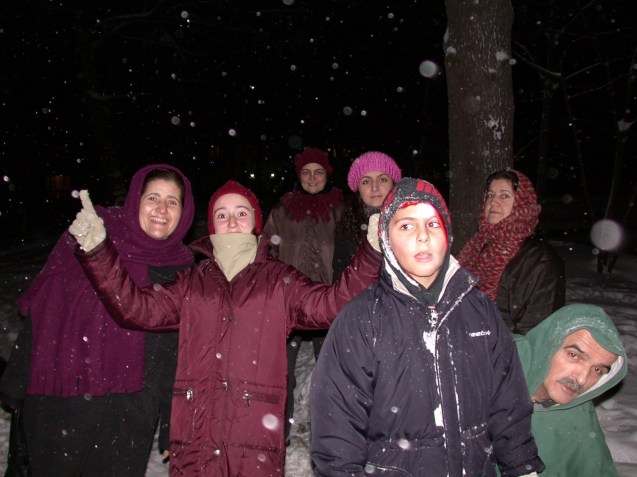 filiz yuvarlak-çınar-3