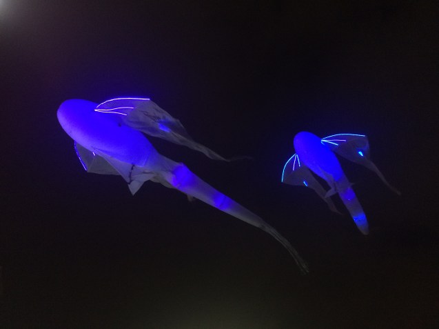 light art in Istanbul