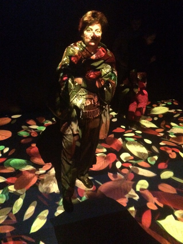 Light Festival-Didem