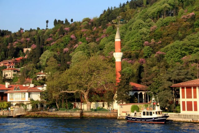 Vaniköy Camii ( Vani Mehmed Efendi Camii )