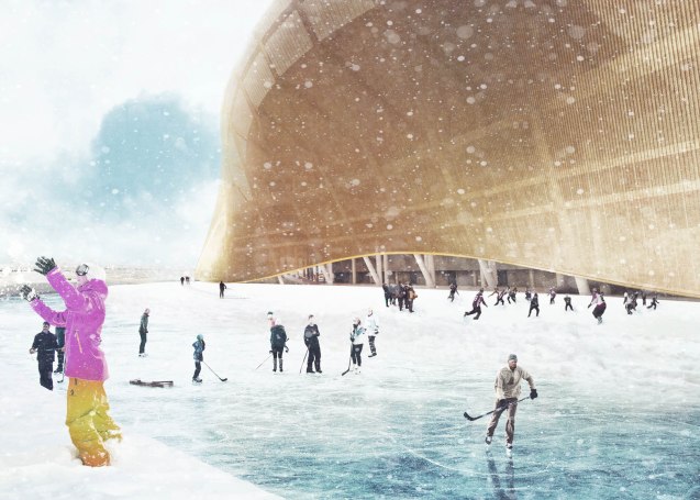 BIG -redskin Stadium-05