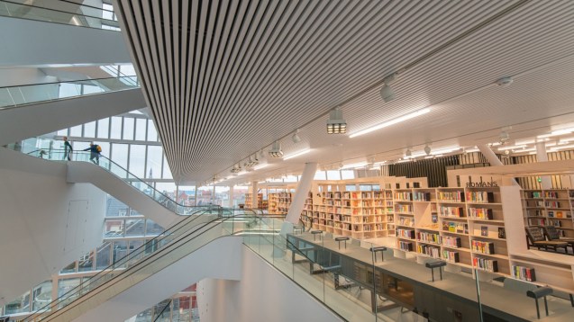 Sosyal ve kültürel yaşam-4